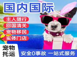 浦东空运地址国际宠物托运 【国